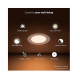 Philips HUE Garnea 10.5-Watt Downlight (White Ambience) Philips HUE Garnea 10.5-Watt Downlight (White Ambience)