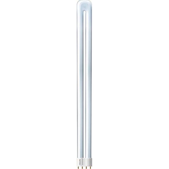 PHILIPS 36W Incandescent Cool Day Light Lamp, White, Pack of 25 PHILIPS 36W Incandescent Cool Day Light Lamp, White, Pack of 25