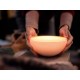 Philips Hue Go Smart Light Compatible with Amazon Alexa, Apple Home Kit, and The Google Assistant (White and Color Ambiance) Philips Hue Go Smart Light Compatible with Amazon Alexa, Apple Home Kit, and The Google Assistant (White and Color Ambiance)