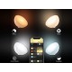 Philips Hue Go Smart Light Compatible with Amazon Alexa, Apple Home Kit, and The Google Assistant (White and Color Ambiance) Philips Hue Go Smart Light Compatible with Amazon Alexa, Apple Home Kit, and The Google Assistant (White and Color Ambiance)