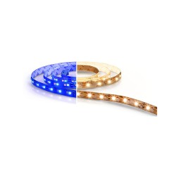 Philips Color Magic Cove Lighting LED Strip Light with Driver (Warm White + Blue)