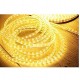 Philips Marathon LED Rope Light (Warm White/50 Meters) Philips Marathon LED Rope Light (Warm White/50 Meters)