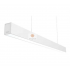 Philips SP170P LED50S-4000/6500 PSU W5L113 OD WH Smartbright Linear