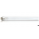 Philips TUV 11W 8" UV Lamp for RO UV Water Filter/UV Lamp For RO+UV Water Purifier (16 mm Diameter) Philips TUV 11W 8" UV Lamp for RO UV Water Filter/UV Lamp For RO+UV Water Purifier (16 mm Diameter)